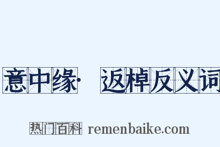 意中缘·返棹反义词是什么意思的图片